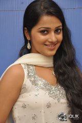 Samskrithi at Hrudayam Ekkadunnadi Audio Launch